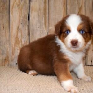 Oakley